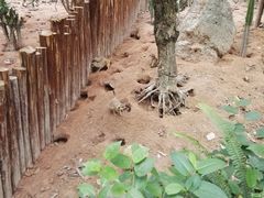 -寮步香市古镇休闲景区