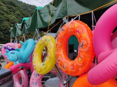 -北仑森林植物园