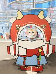 -MINI MARS KIDS CLUB亲子家庭中心(杨浦黄兴店)