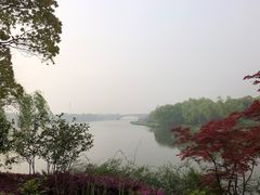 -长广溪湿地公园