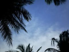 -白沙门生态公园