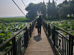 -岳阳阿波罗御庭酒店