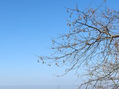 -庐山风景名胜区