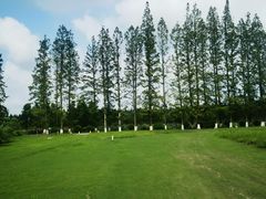 -黄海国家森林公园