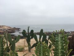 -广东惠东海龟国家级自然保护区