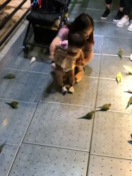 -酷嗒动物文化乐园(cutezoo西溪乐天城店)