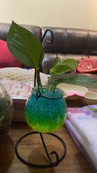 -爱贝蕊恩韩式月子会所(南山店)