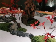 -鸽子窝(宋庄店)