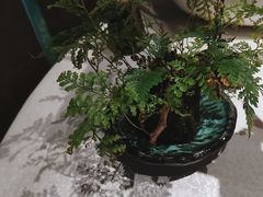 -一江水食府(后湖店)