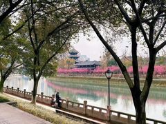 -望江楼公园