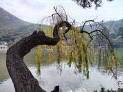 -黑龙潭公园