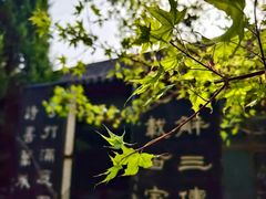 -碑林公园