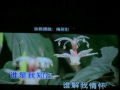 -唛霸KTV(卓悦广场店)