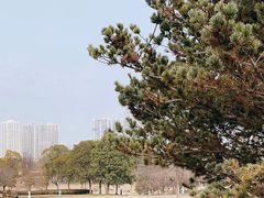-白塘生态植物园
