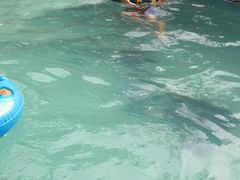 -灵秀温泉