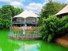 -帐篷客·溪龙茶谷度假酒店