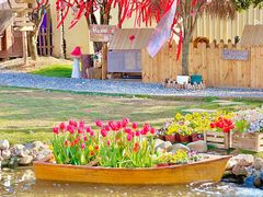 -HERRE·FARM 赫尔露营农场·团建聚会包场