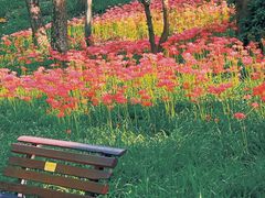 -杭州植物园