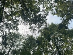 -苏州河梦清园环保主题公园