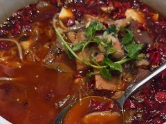 -蝶园·装修中(BFC外滩金融中心店)