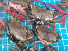 -必点蒸汽海鲜(止锚湾店)