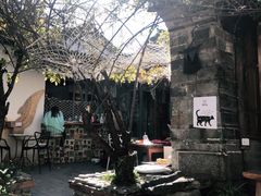 -喵屿·大理花园猫咖