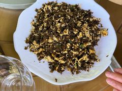 地耳炒鸡蛋-青城甲(青城山店)