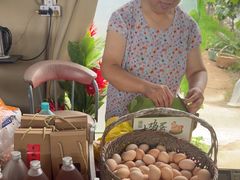 -马陆小张葡萄园农家乐