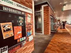 -香港大学