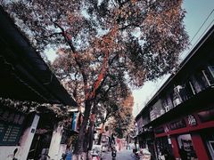 -百家春好德来姜母鸭