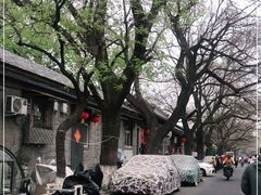-北京国子监胡同