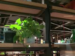 -探鱼·鲜青椒爽麻烤鱼(北京路天河城店)