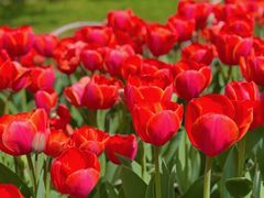 -玄武湖景区-情侣园游乐场