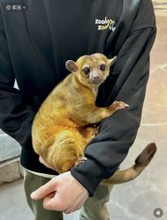 -Zoolung Zoolung动物主题公园(海信广场店)