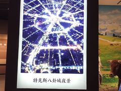 -特克斯八卦城