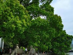 -严子陵钓台(富春江小三峡)