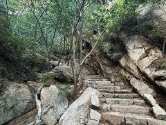 -大岭沟猕猴桃谷风景区