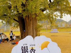 -杭州野生动物世界