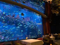 -迪拜帆船酒店海底餐厅