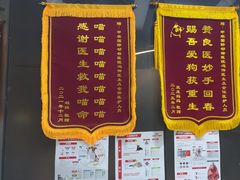-中农国际动物医院24小时·猫科·骨科·急重症中心