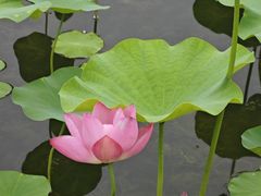 -太阳宫公园