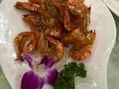 本帮油爆虾-新恬乐大酒家(沧达大厦店)