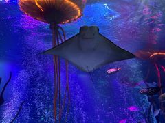 -沈阳海洋探索中心