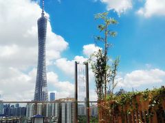 广州地标景观-小茶闲舍·观景商务茶馆(广州塔店)