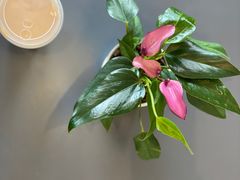 -LAB COFFEE来杯咖啡(浦仓路店)