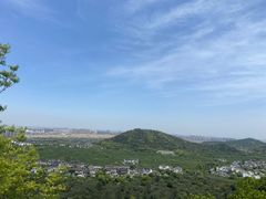 -树山生态村