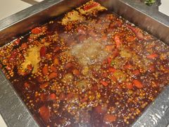 -二荆条·蜀鲜汇城市森林火锅