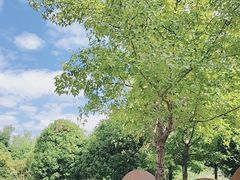 -同里国家湿地公园