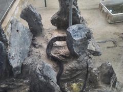 -荔城生鲜盛宴(番禺旗舰店)