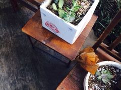 iphone_upload_pic-卷耳咖啡